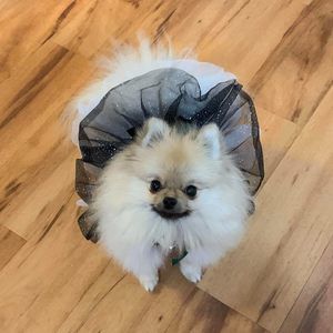 Meet your Posher, Joellen